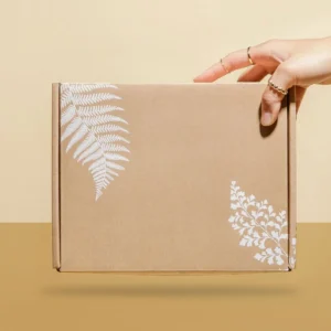 Corrugated Mailer Boxes-1